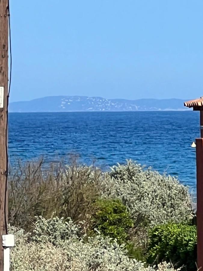 Plein Sud, Bel Appartement 20 Metres De La Plage La Capte Ιέρ Εξωτερικό φωτογραφία